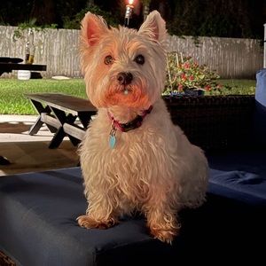 Meet your Posher, Annette